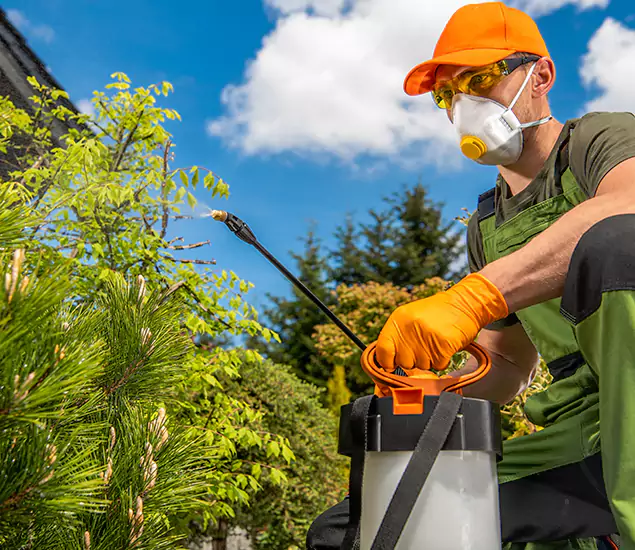 Your Best Bug Spray for Home Team in Kuna, ID