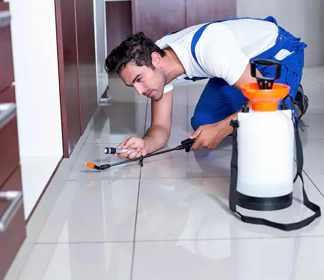 Reliable Professional Mouse Removal: Your Best Mouse Control Company in Kuna, ID
