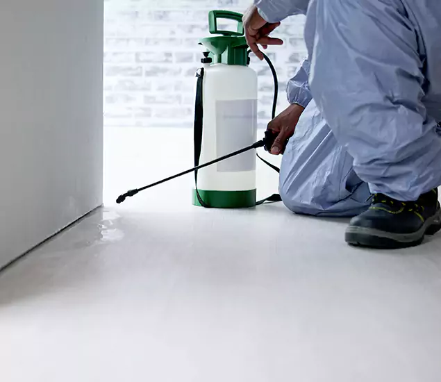 Affordable Pest Control Experts in Kuna, ID