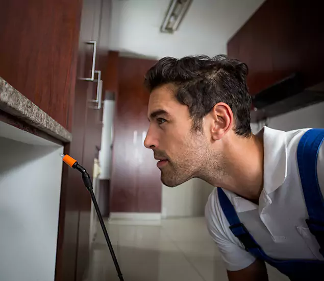 Expert Rodent in Attic Removal: Your Proven Pest Specialists in Kuna, ID