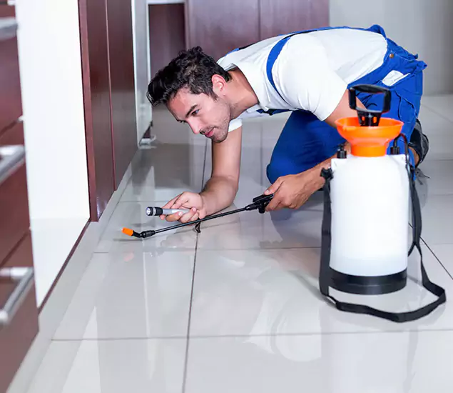 Advanced Slab Termite Treatment Experts You Can Trust&nbsp;in Kuna, ID