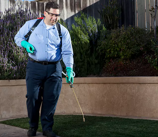 Reliable Termite Barrier Treatment Experts in Kuna, ID