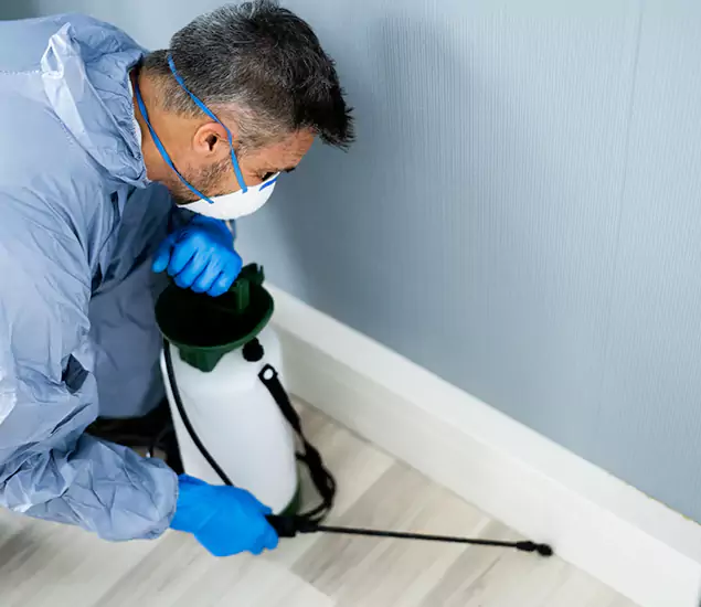 Reliable Termite Cost Experts in Kuna, ID