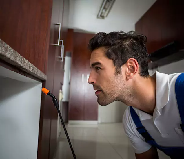 Termite Inspection Cost Experts You Can Trust in Kuna, ID