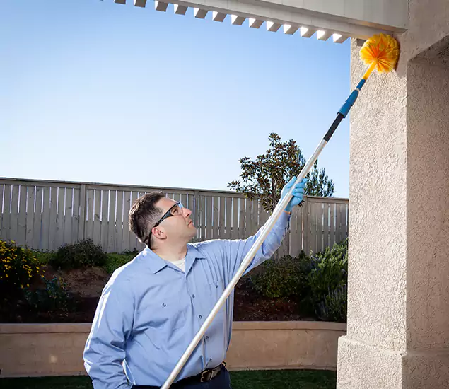 Your Trusted Wasp Removal Company in Kuna, ID