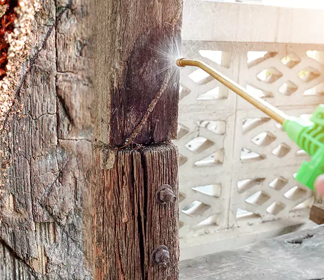About Wood Termite Treatment Services in Kuna, ID