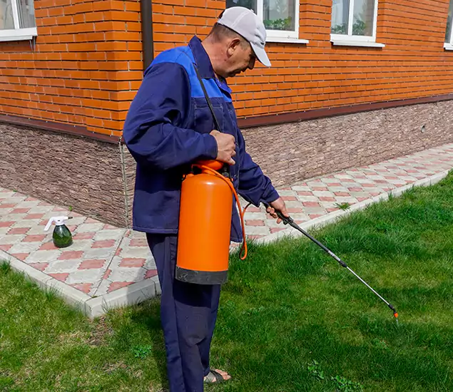 Your Yellow Jacket Pest Control Experts in Kuna, ID