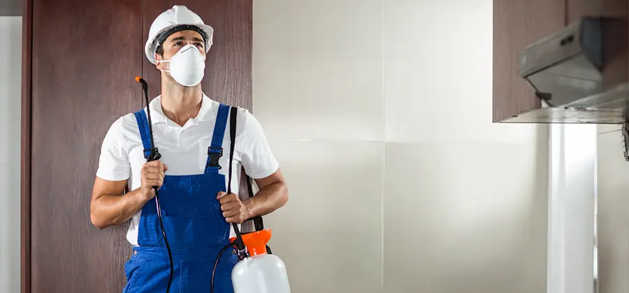 Per Room Bed Bug Cost in Kuna