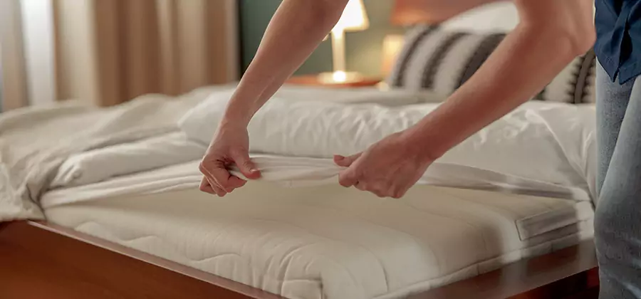Bed Bug Extermination Services in Kuna