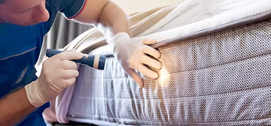 Residential Bed Bug Treatment Cost in Kuna