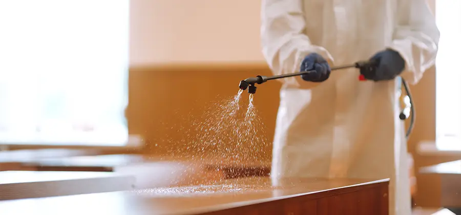 Residential Bed Bug Treatment Option in Kuna