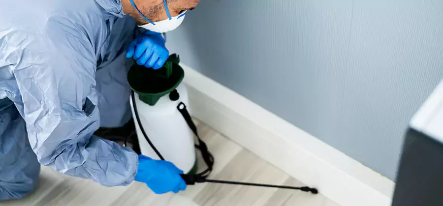 Fumigate Apartment Roaches in Kuna