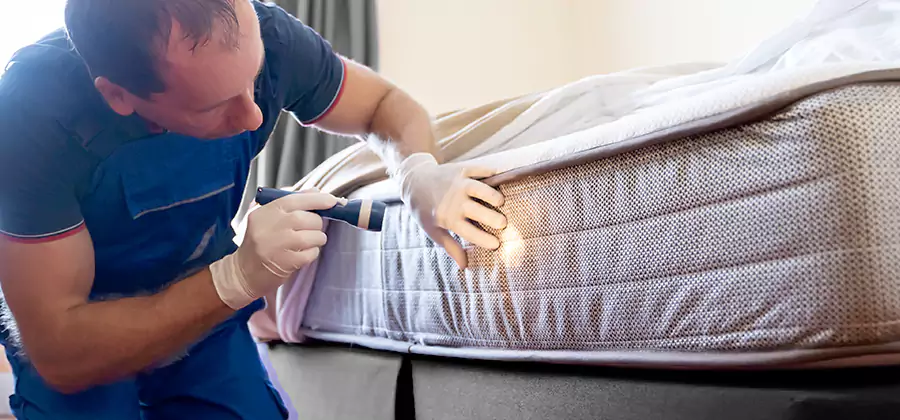 24 Hour Bed Bug Pest Control in Kuna