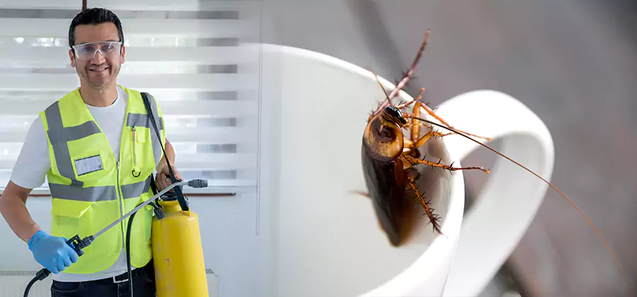 German Roach Infestation Treatment Kuna