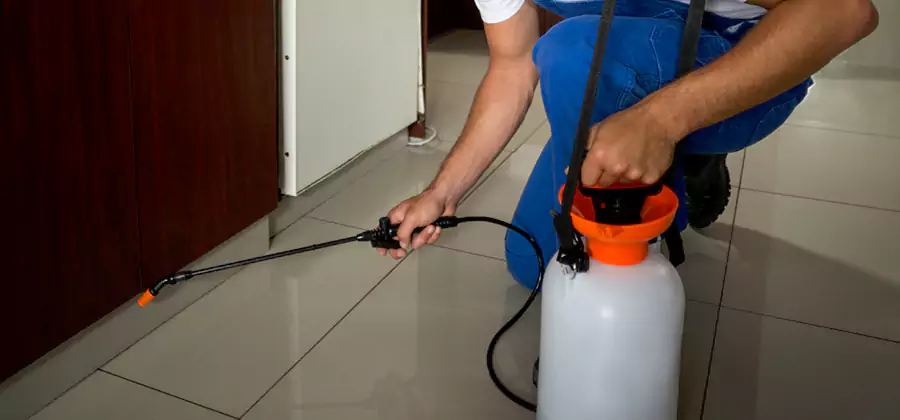 Indoor Mosquito Treatment in Kuna