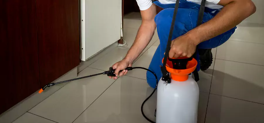 Indoor Insect Killer Solutions in Kuna