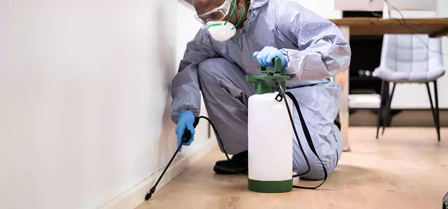 Long Lasting Mosquito Treatment in Kuna