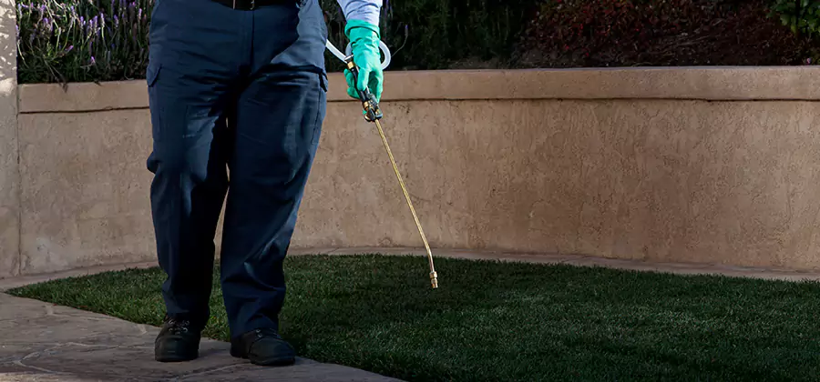 Soil Treatment for New Construction Termites in Kuna