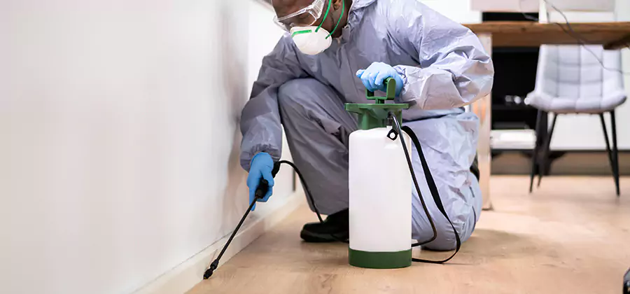No Tent Termite Extermination With Electric Tool in Kuna