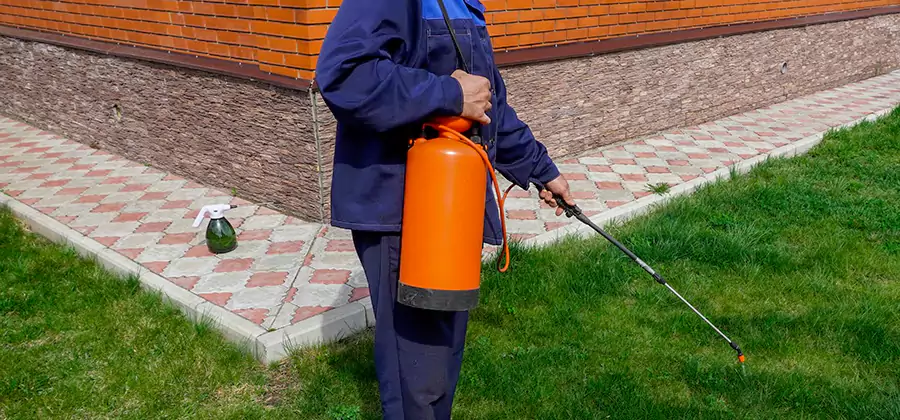 Non Toxic Termite Treatment in Kuna