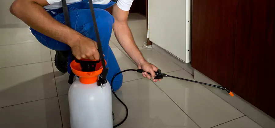 One Time Termite Control in Kuna