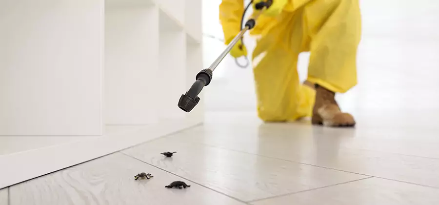 Roach and Bed Bug Exterminator in Kuna