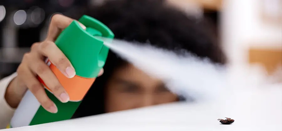 Child Safe Bed Bug Treatment in Kuna