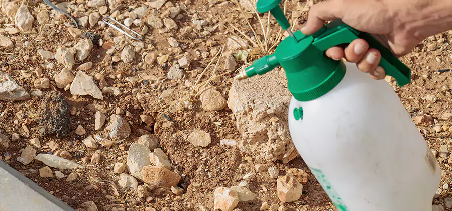 Heat Treatment Termite Cost in Kuna