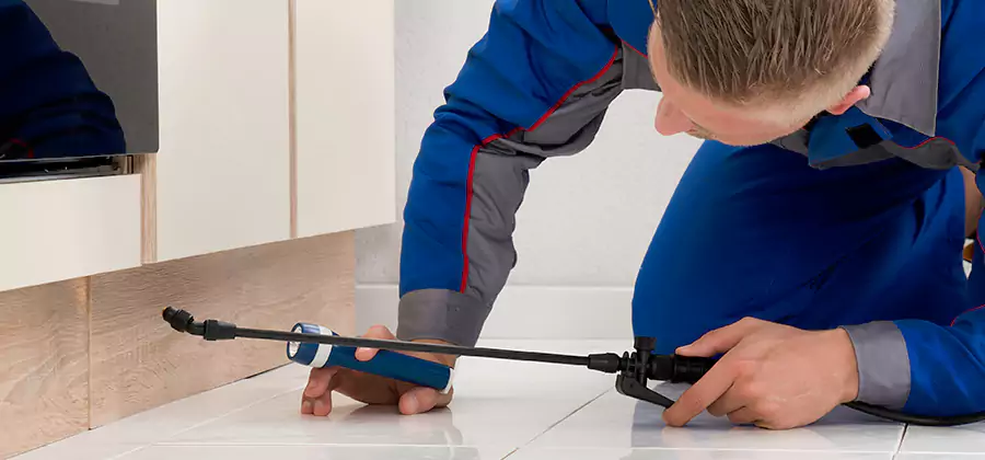 Moisture Treatment For Termite Control Service in Kuna