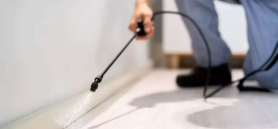 Direct Termite Injection Treatment in Kuna