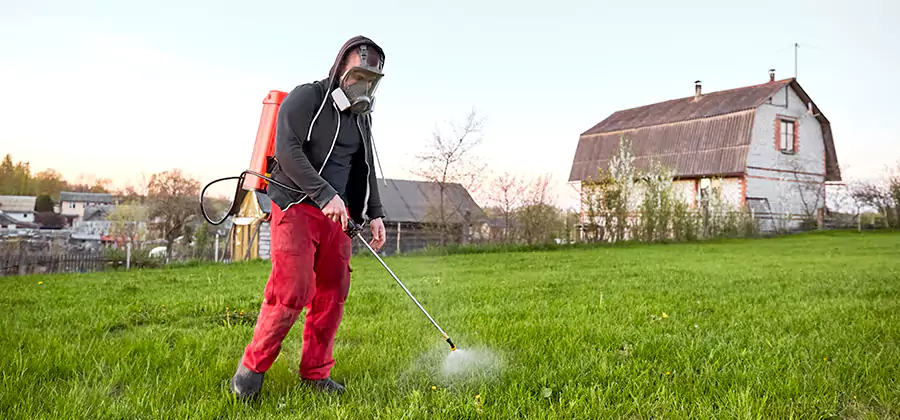 Flea and Tick Pest Control in Kuna