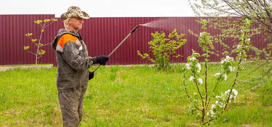 Flea and Tick Spray for Yard in Kuna