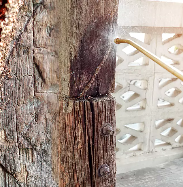 Why Choose Kuna Pest Control Pro for Attic Termite Treatment in Kuna, ID?