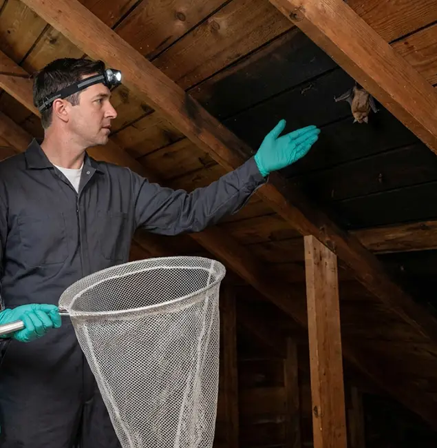 Why Kuna Pest Control Pro Is the Right Choice in Kuna, ID?