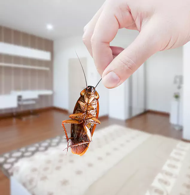 Why Kuna Pest Control Pro Stand Out for Bed Bug Fumigation in Kuna, ID?