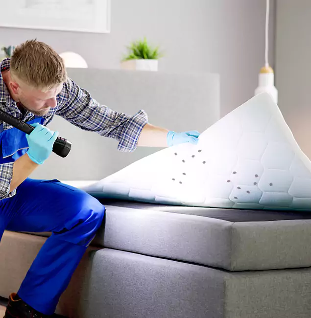 Why Choose Kuna Pest Control Pro in Kuna, ID?