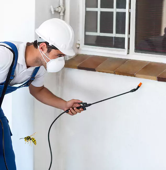 Why Kuna Property Owners Choose Kuna Pest Control Pro for Bee Nest Removal?