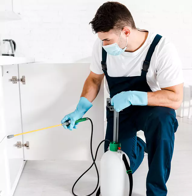 Why Choose Kuna Pest Control Pro for Emergency Pest Control in Kuna?