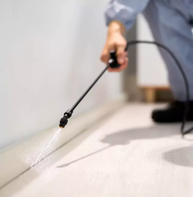 Why Choose Kuna Pest Control Pro for Termite Treatment in Kuna, ID?