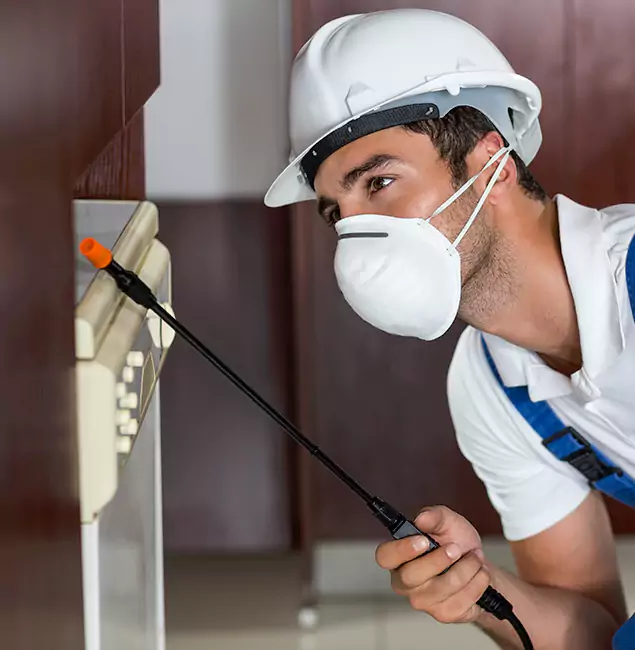 Why Kuna Homeowners Rely on Kuna Pest Control Pro for Tick Treatment?