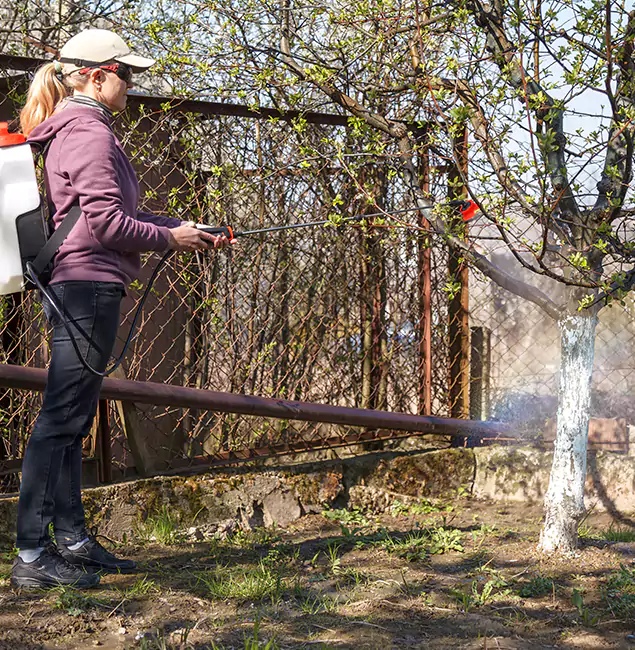 Why Kuna Homeowners Choose Kuna Pest Control Pro for Mosquito Abatement?