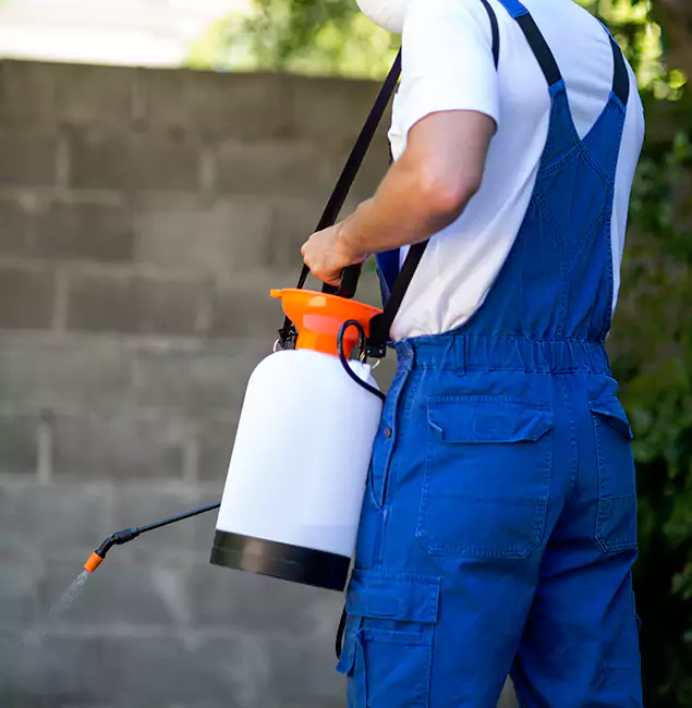 Why Kuna Homeowners Rely on Kuna Pest Control Pro for Mosquito Control?