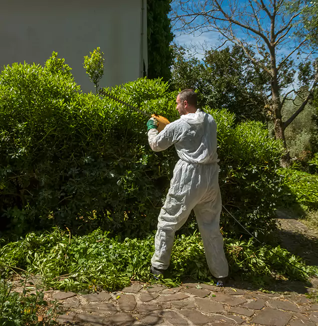 Why Kuna Pest Control Pro Leads Mosquito Control in Kuna, ID?
