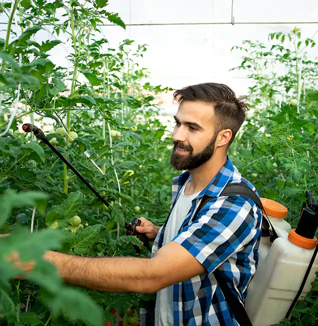 Why Kuna Homeowners Choose Kuna Pest Control Pro for Mosquito Spraying?