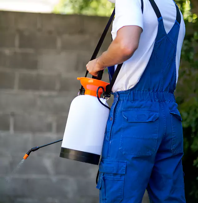 Why Kuna Pest Control Pro Delivers the Best Mosquito Control in Kuna, ID?