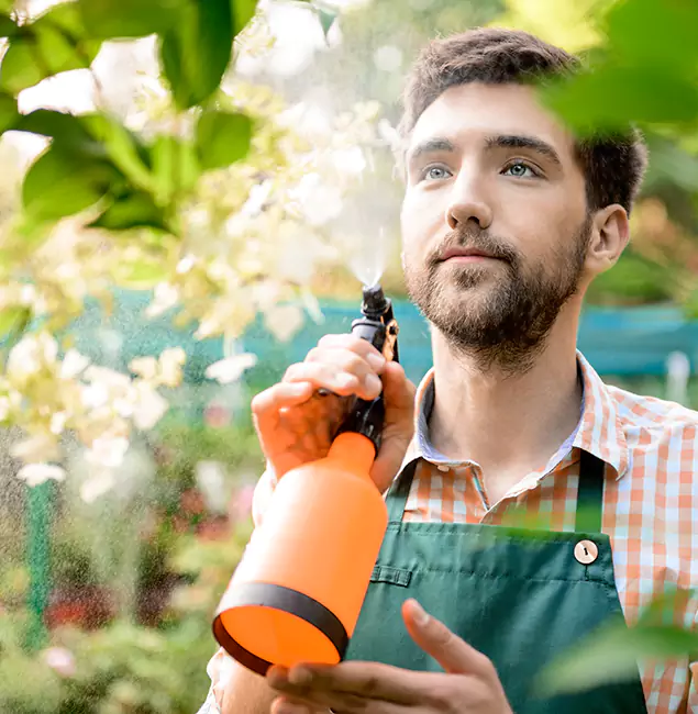 Why Kuna Homeowners Call Kuna Pest Control Pro for Mosquitoes in House?