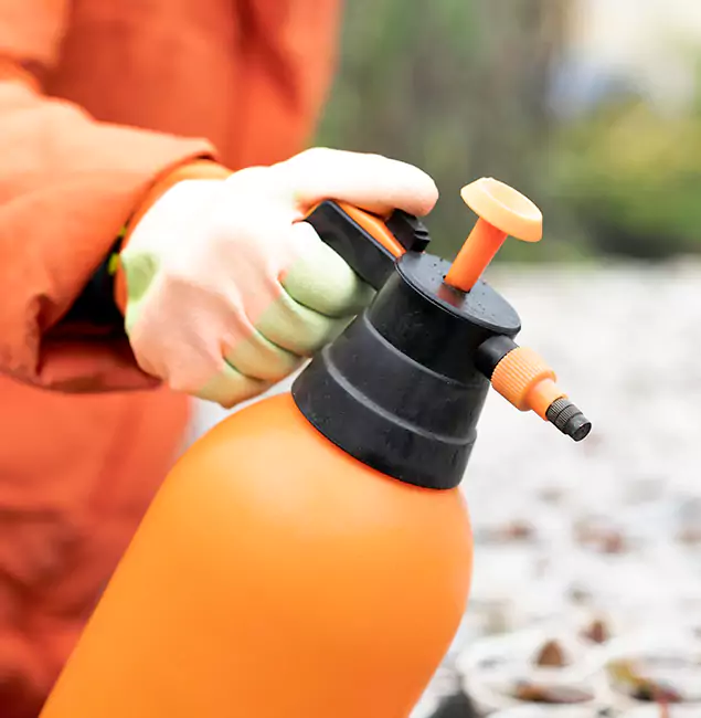 Why Choose Kuna Pest Control Pro for Orange Termite Treatment in Kuna, ID?