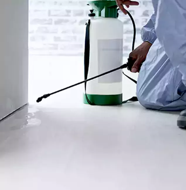 Why Choose Kuna Pest Control Pro for Rat Exterminator in Kuna, ID?