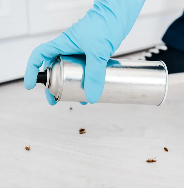 Why Choose Kuna Pest Control Pro for Safe Bed Bug Treatment in Kuna, ID?
