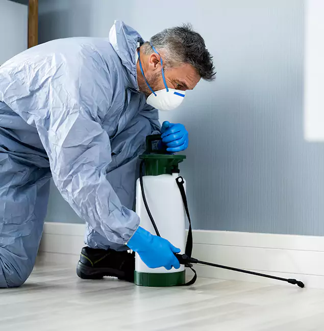 Why Choose Kuna Pest Control Pro for Subterranean Termites Treatment in Kuna, ID?